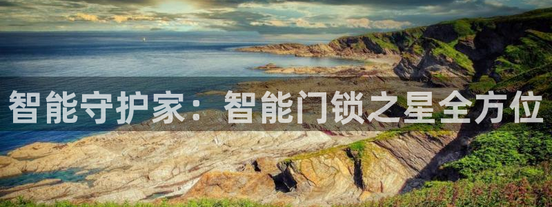 金年会手机app：智能守护家：智能门锁之星全方位