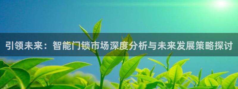 金年会网页登录：引领未来：智能门锁市场深度分析与未来发展策略