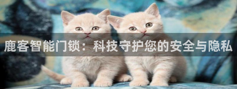 金年会活动策划：鹿客智能门锁：科技守护您的安全与隐私