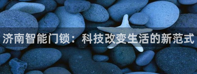 金年会提款慢：济南智能门锁：科技改变生活的新范式