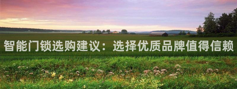 金年会6088070：智能门锁选购建议：选择优质品牌值得信赖