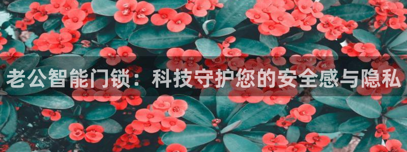 金年会手机网页版登录：老公智能门锁：科技守护您的安全感与隐私