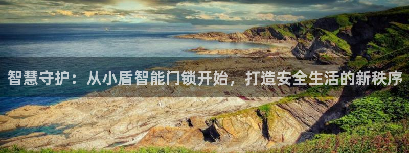 金年会平台是什么：智慧守护：从小盾智能门锁开始，打造安全生活