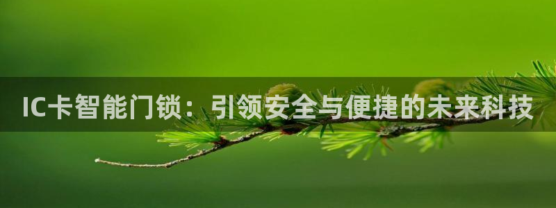 金年会中国金年会登录：IC卡智能门锁：引领安全与便捷的未来科