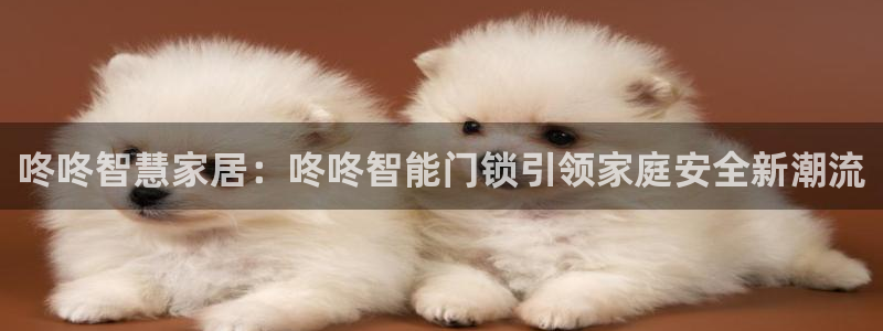 金年会是赌博的吗：咚咚智慧家居：咚咚智能门锁引领家庭安全新潮