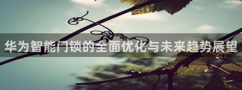 金立年会：华为智能门锁的全面优化与未来趋势展望