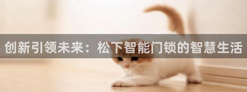 金年会介绍：创新引领未来：松下智能门锁的智慧生活