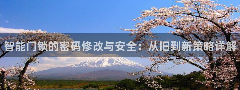 金年会最新下载：智能门锁的密码修改与安全：从旧到新策略详解