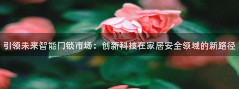 今金年会：引领未来智能门锁市场：创新科技在家居安全领域的新路