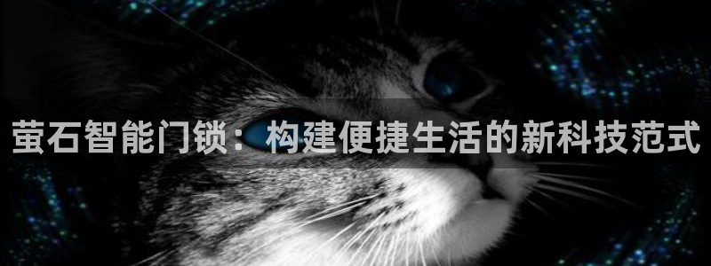 金立年会：萤石智能门锁：构建便捷生活的新科技范式