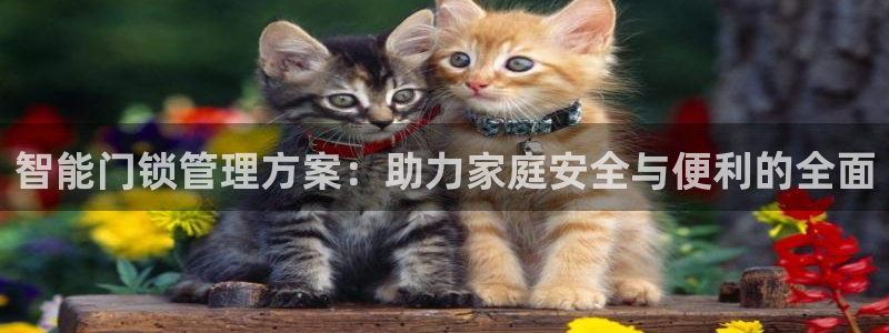 金年会：智能门锁管理方案：助力家庭安全与便利的全面