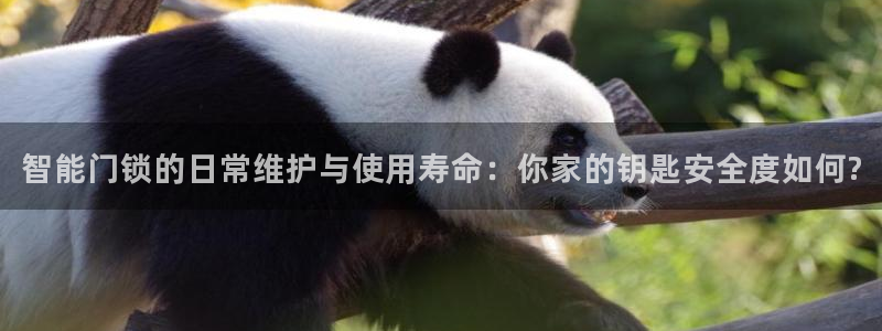 2022年金科年会