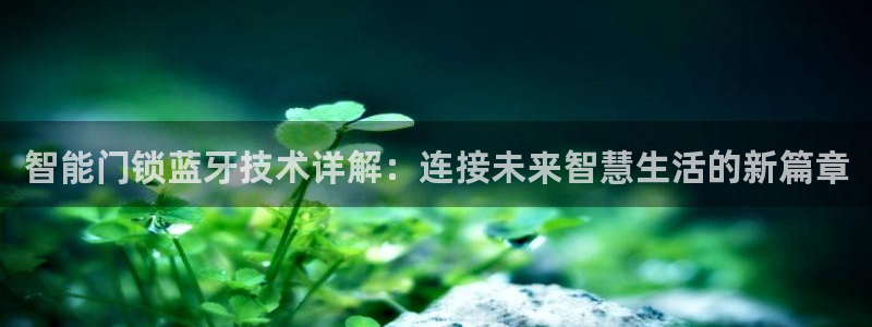 金年会官方网站：智能门锁蓝牙技术详解：连接未来智慧生活的新篇