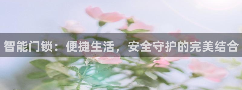 金年会平台：智能门锁：便捷生活，安全守护的完美结合
