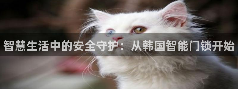 年会金句心得：智慧生活中的安全守护：从韩国智能门锁开始