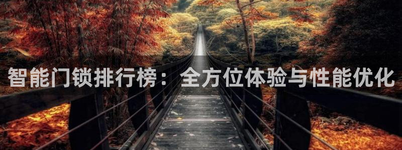 金年会电子：智能门锁排行榜：全方位体验与性能优化
