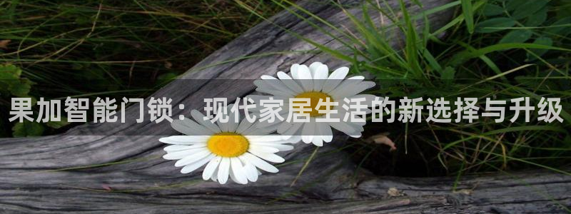 金年会体育和金年会：果加智能门锁：现代家居生活的新选择与升级