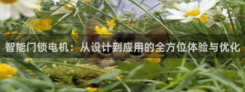 金年会网页登录：智能门锁电机：从设计到应用的全方位体验与优化