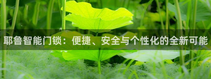 金年会提款：耶鲁智能门锁：便捷、安全与个性化的全新可能