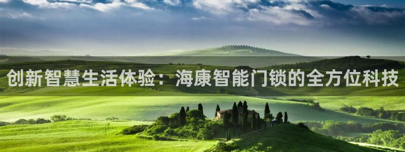 金年会全站app：创新智慧生活体验：海康智能门锁的全方位科技