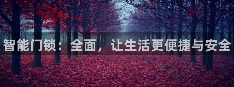 金年会平台是不是大台子：智能门锁：全面，让生活更便捷与安全