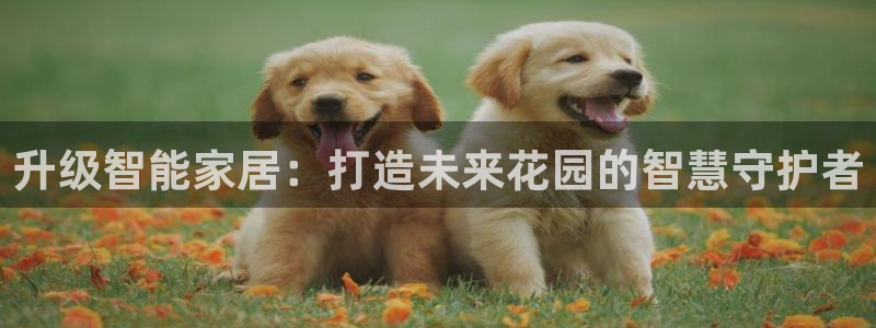 金年会足彩