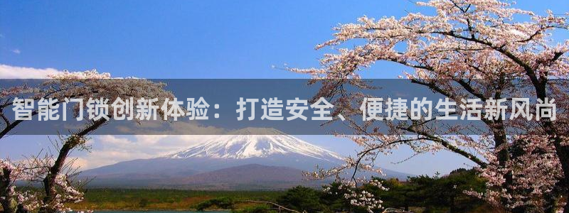 金年会平台：智能门锁创新体验：打造安全、便捷的生活新风尚