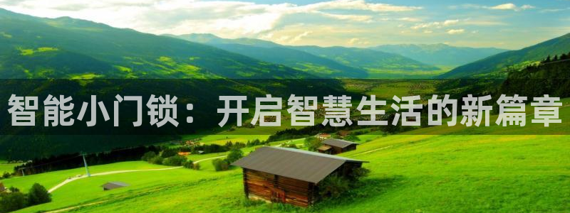 金年会体育平台在线登录：智能小门锁：开启智慧生活的新篇章