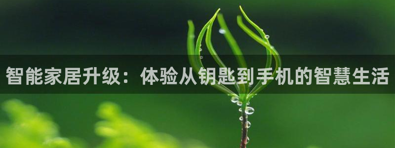 金年会官：智能家居升级：体验从钥匙到手机的智慧生活