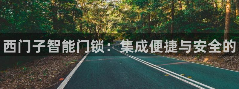 金年会官方网：西门子智能门锁：集成便捷与安全的