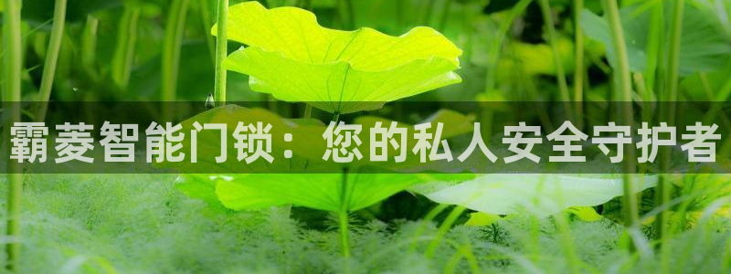 金年会嗨聊app下载：霸菱智能门锁：您的私人安全守护者