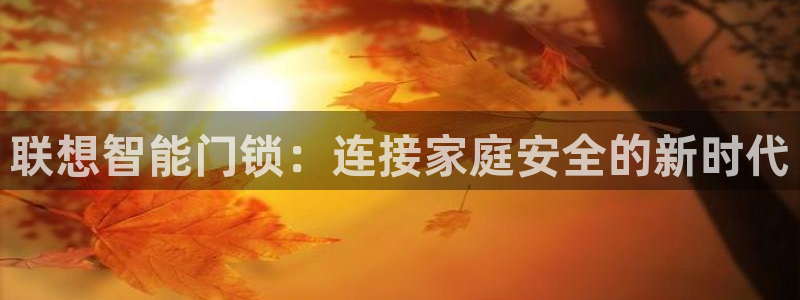 年会金：联想智能门锁：连接家庭安全的新时代