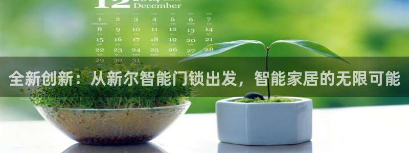 金年会注册官网：全新创新：从新尔智能门锁出发，智能家居的无限