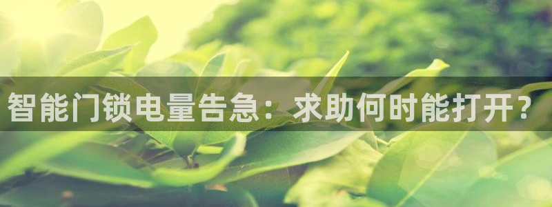 金金年会：智能门锁电量告急：求助何时能打开？