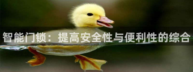 金年会官网入口：智能门锁：提高安全性与便利性的综合