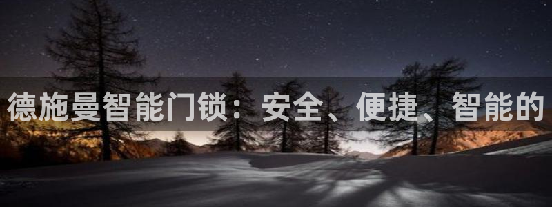 金年会官方网址登录路线：德施曼智能门锁：安全、便捷、智能的