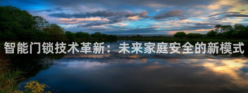 金年会安装：智能门锁技术革新：未来家庭安全的新模式