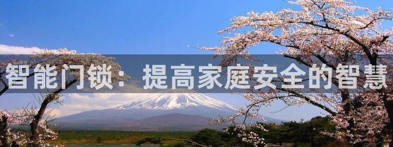 金实年会：智能门锁：提高家庭安全的智慧