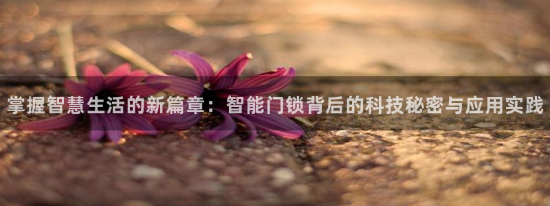金年会 中国 金年会：掌握智慧生活的新篇章：智能门锁背后的科