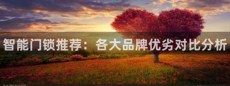 年会金：智能门锁推荐：各大品牌优劣对比分析