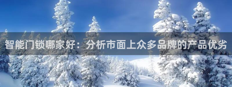 金年会体育平台官网：智能门锁哪家好：分析市面上众多品牌的产品