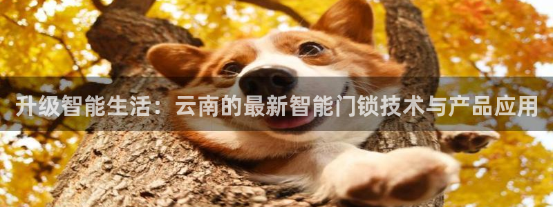 金年会提款慢：升级智能生活：云南的最新智能门锁技术与产品应用
