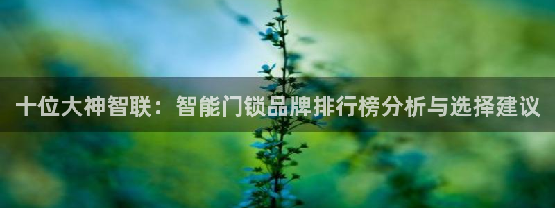 金年会最新登录：十位大神智联：智能门锁品牌排行榜分析与选择建