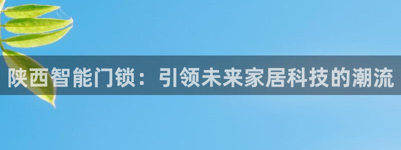 金年会官方：陕西智能门锁：引领未来家居科技的潮流