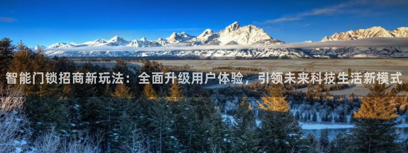 金年会官方客服电话：智能门锁招商新玩法：全面升级用户体验，引