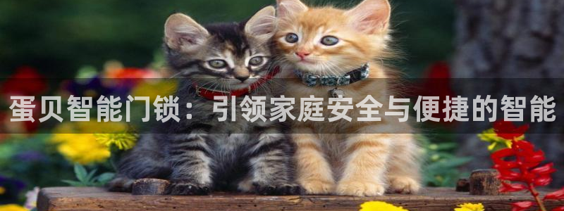 今金年会：蛋贝智能门锁：引领家庭安全与便捷的智能