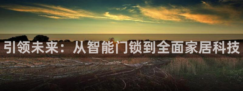 金年会投注官网：引领未来：从智能门锁到全面家居科技