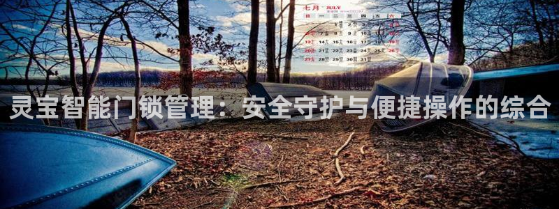 金年会信誉：灵宝智能门锁管理：安全守护与便捷操作的综合