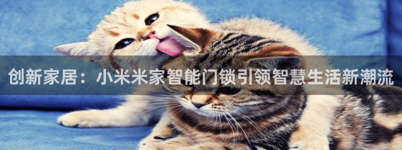 金年会澳门6766