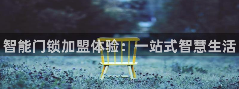 体育金年会：智能门锁加盟体验：一站式智慧生活